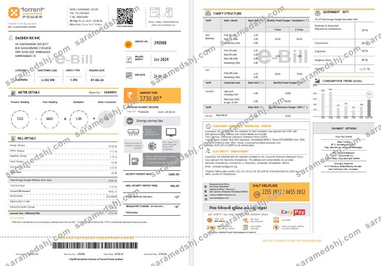 INDIA TORRENT POWER business utility bill Word and PDF template